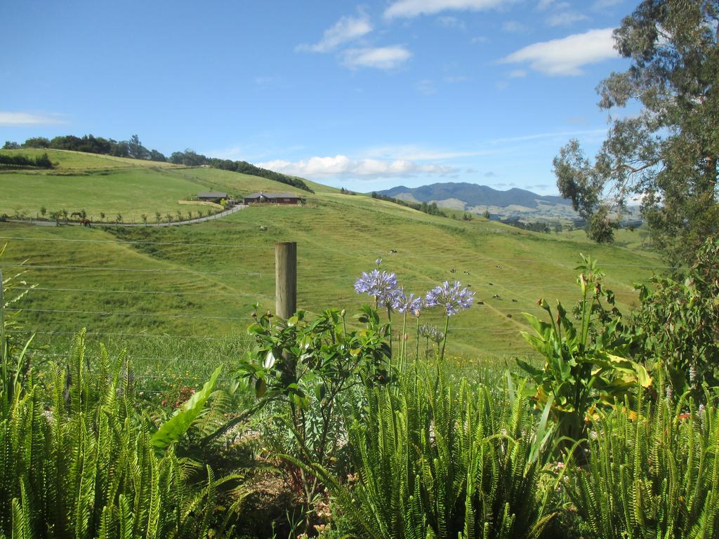 Kauri Lodge Karapiro Eksteriør bilde